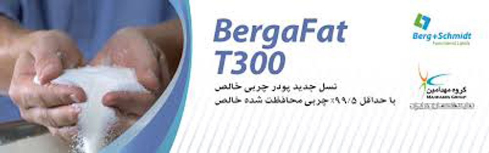 برگافت تی300